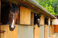 free Silkstone Common stable construction quotes